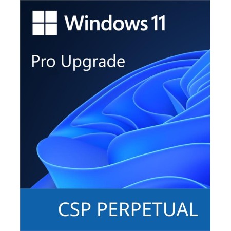Microsoft Windows 11 Pro Upgrade