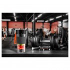 Sencor Блендер портативний для смузі 50Вт, чаша-330мл, USB, чорний Sencor Блендер портативний для смузі 50Вт, чаша-330мл, USB, чорний