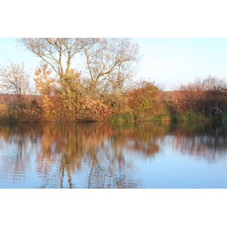 Nikon 50mm f/1.4G AF-S Nikkor