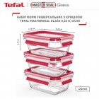 Набір контейнерів Tefal N1051110
