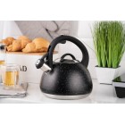 ARDESTO Чайник Gemini, 2.5 л, нержавіюча сталь