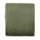 ARDESTO Плед Flannel, 200x220 см, 100% поліестер, зелений ARDESTO Плед Flannel, 200x220 см, 100% поліестер, зелений