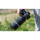 Canon RF 600mm f/11 IS STM Canon RF 600mm f/11 IS STM