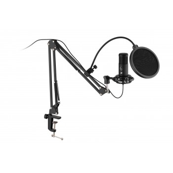 2E Мікрофон для ПК MPC021 S