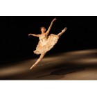 Об'єктив Sony 28-70mm f/2.0 GM Чорний