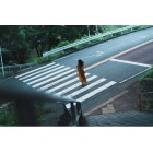 Об'єктив Sony 28-70mm f/2.0 GM Чорний