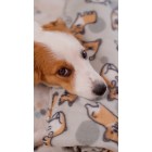 ARDESTO Плед Fleece, 130x160см, 100% поліестер, коргі ARDESTO Плед Fleece, 130x160см, 100% поліестер, коргі