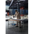 Bosch Шурупокрут-дриль акумуляторний GSR 18 V-50, 18В 2x2Aг, 50Нм,20+1, 460/1800об/хв, 1кг