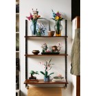 LEGO Конструктор Icons Тихий сад