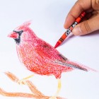 Cra-Z-Art Крейда воскова легкозмивна, 48шт Cra-Z-Art Крейда воскова легкозмивна, 48шт