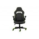 2E Gaming Ігрове крісло HEBI Black/Green
