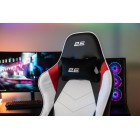 2E Gaming Крісло BUSHIDO II White/Black