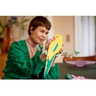 LEGO Конструктор ART Колекція фауни. Папуги Ара