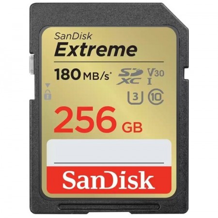 SanDisk Карта пам'яті SD 256GB C10 UHS-I U3 R180/W130MB/s Ex