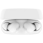 Belkin Навушники TWS Soundform Rhythm True Wireless, білий