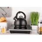 ARDESTO Чайник Gemini, 2.5 л, нержавіюча сталь