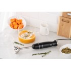 ARDESTO Блендер занурювальний HBG- 600B, 600Вт, чорно-сріблястий ARDESTO Блендер занурювальний HBG- 600B, 600Вт, чорно-сріблястий