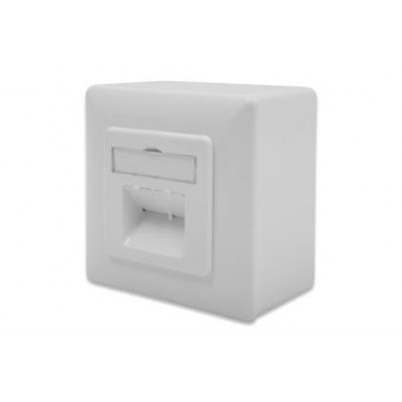 Digitus Настінна розетка cat. 6a STP 2xRJ45 8P8C, для зовніш