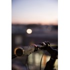 Дзвінок Knog Oi Classic Small Brass